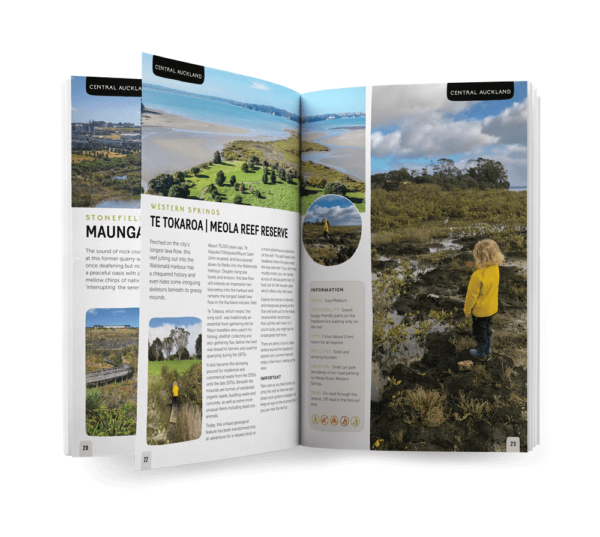 Auckland Guidebook - Image 3