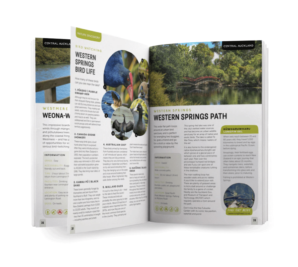 Auckland Guidebook - Image 4